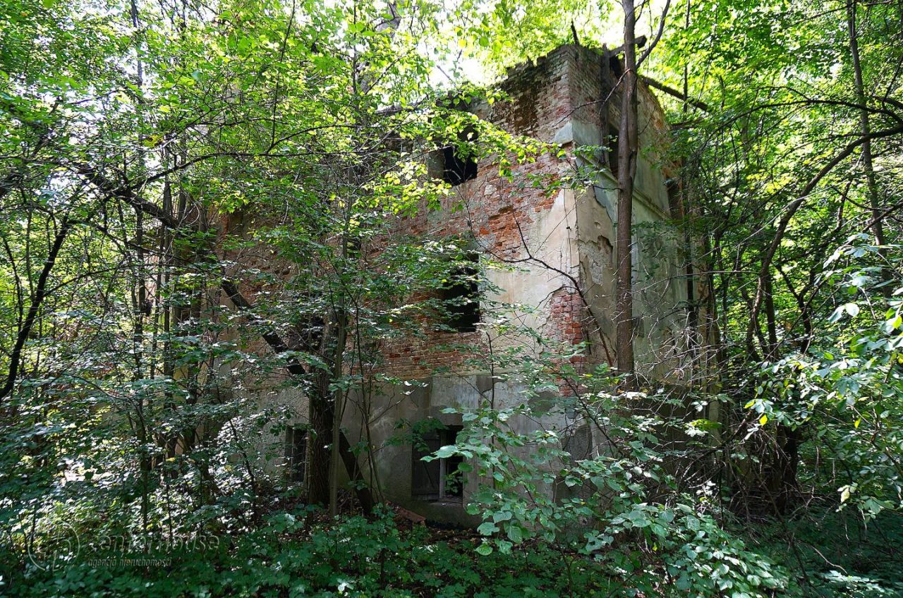 dworek Dąbrowica. Zdjęcie 20