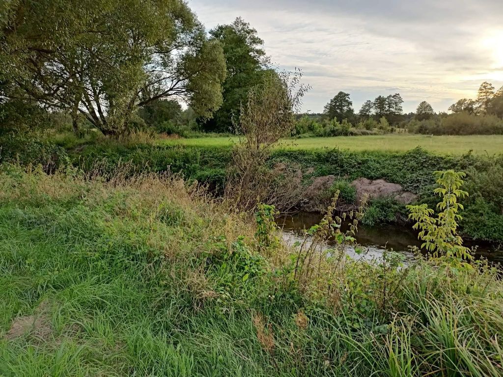 Działka rolna Lipowica. Zdjęcie 4