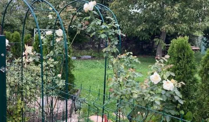 Działka rod Poznań Ostrów Tumski, Świętego Wincentego 1