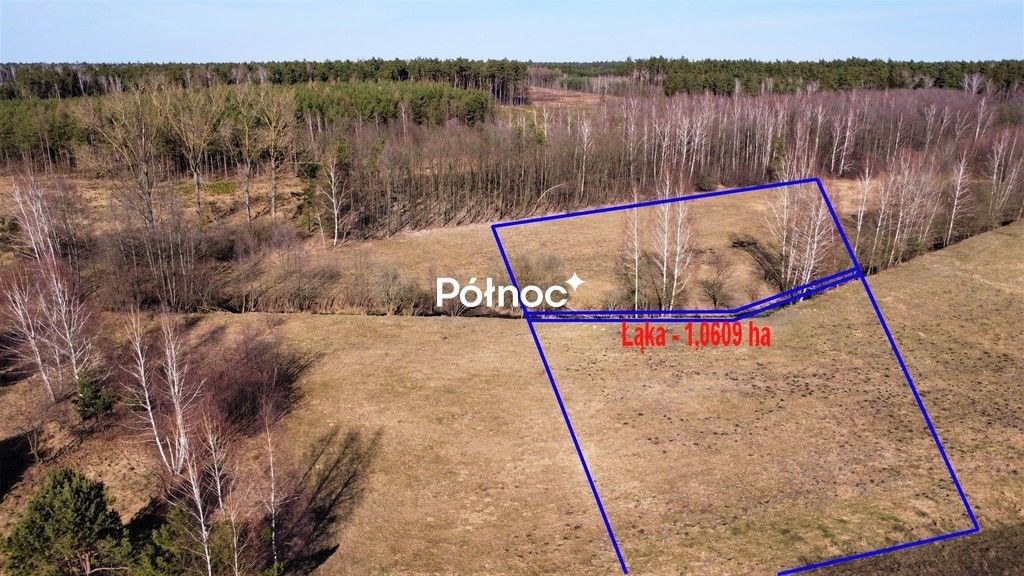Działka rolna Cieleśnica. Zdjęcie 2