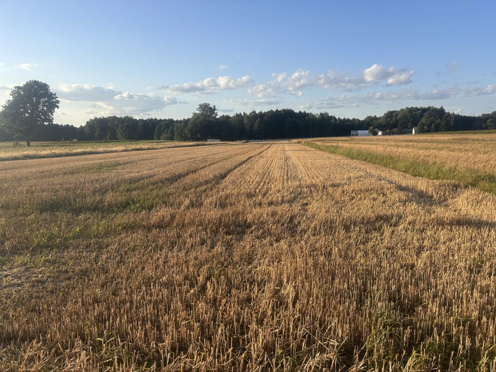 Działka budowlana Sporniak. Zdjęcie 3