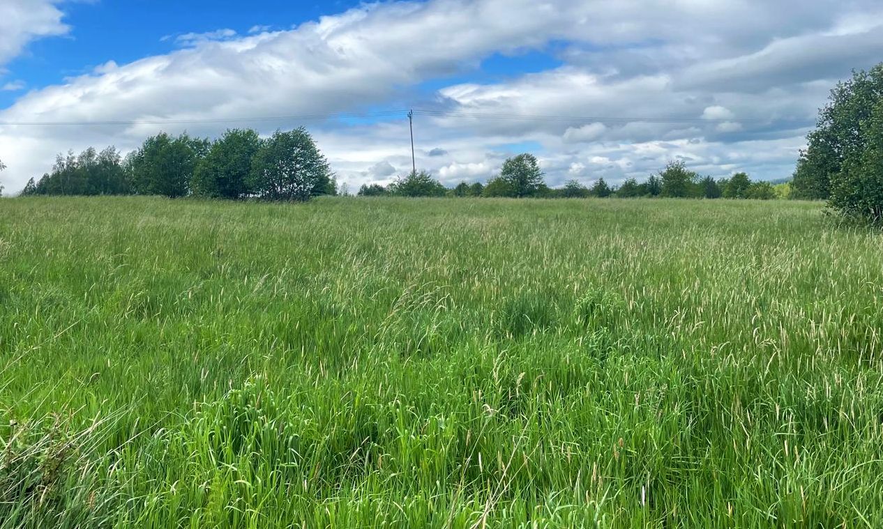 Działka budowlana Pobiedna, ul. Dworcowa. Zdjęcie 4