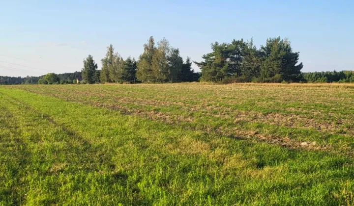 Działka budowlana Lubiaszów Nowy Lubiaszów