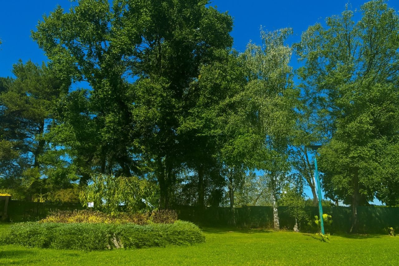 Mieszkanie 1-pokojowe Świebodzice, ul. Kolejowa. Zdjęcie 9