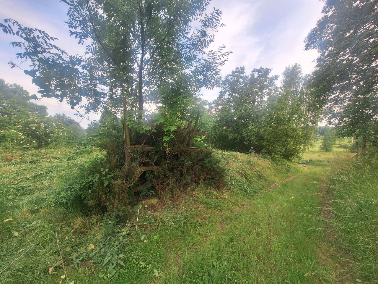 Działka siedliskowa Radostów Górny. Zdjęcie 3