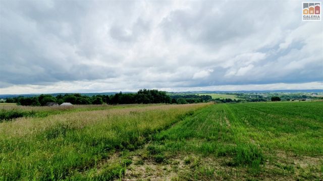 Działka rolna Grzegorzówka. Zdjęcie 7