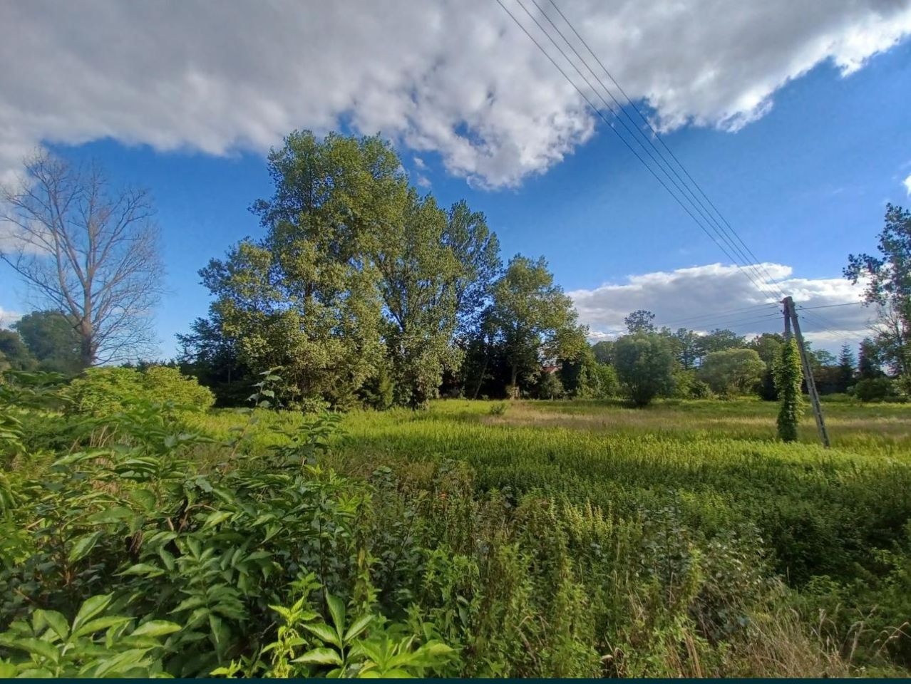 Działka rolna Brzeźnica, ul. Nadbrzeżna. Zdjęcie 3