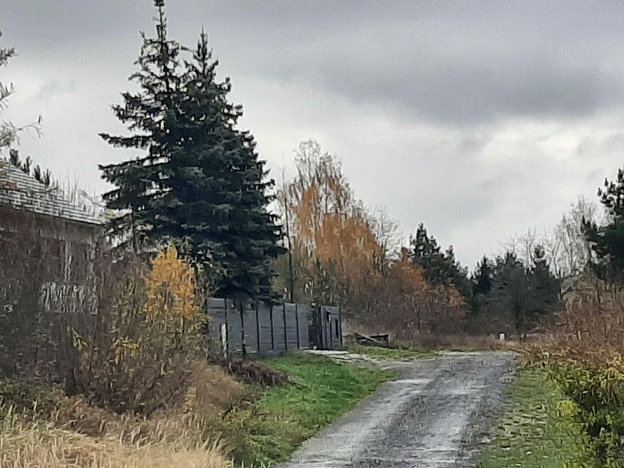 Działka budowlana Złotniczki, ul. Błękitna. Zdjęcie 5