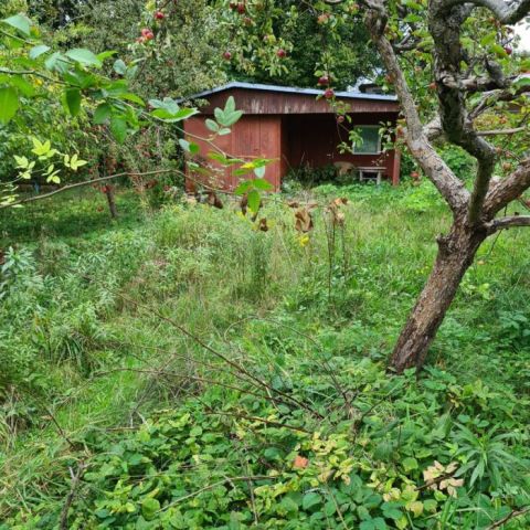 Działka rekreacyjna Gdańsk Karczemki, ul. Kalinowa. Zdjęcie 1