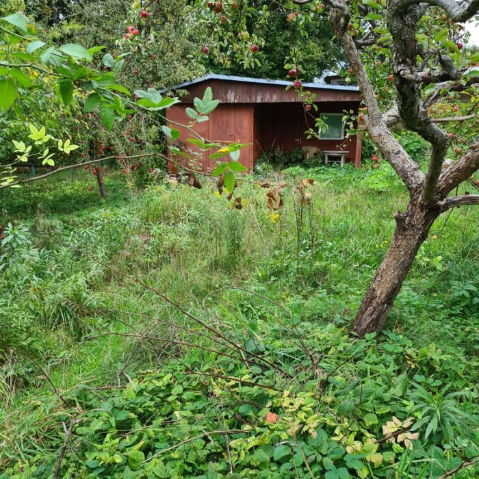 Działka rekreacyjna Gdańsk Karczemki, ul. Kalinowa