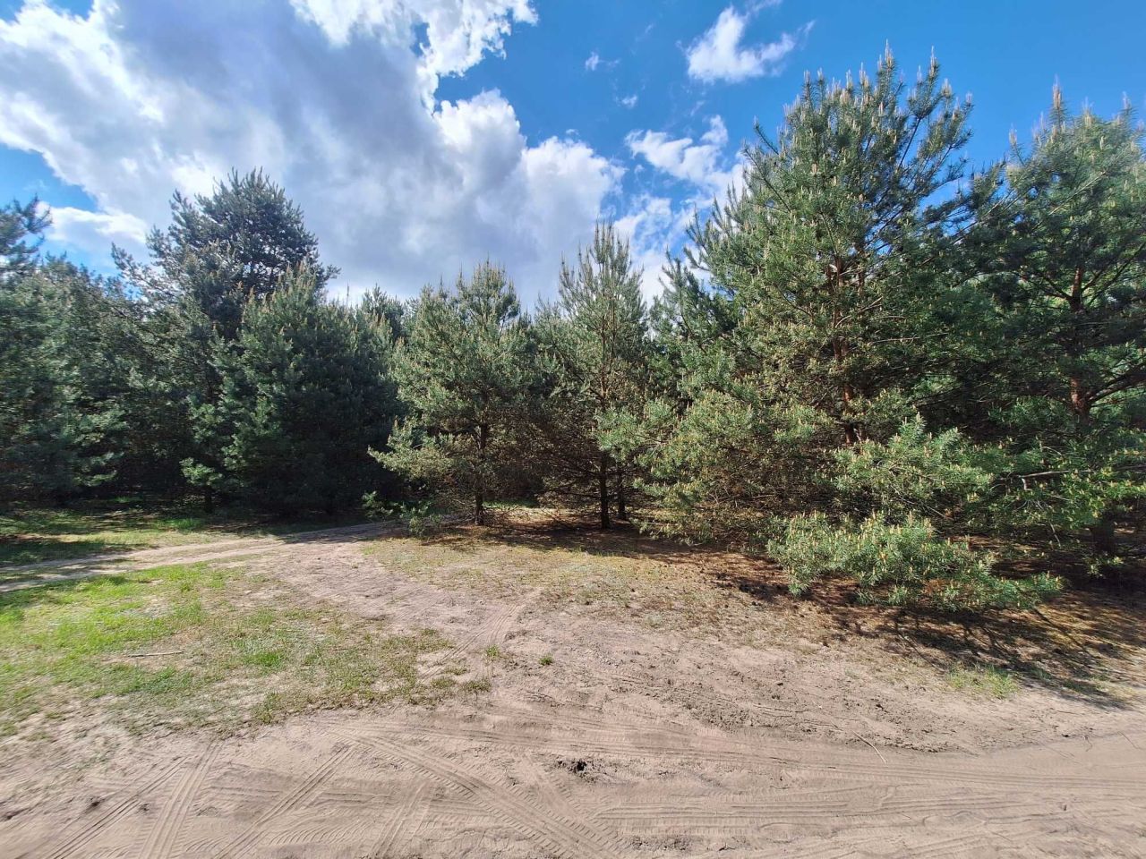 Działka rolna Zarzęcin. Zdjęcie 6