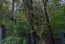 Działka leśna Milanówek, ul. Łąkowa. Zdjęcie 1