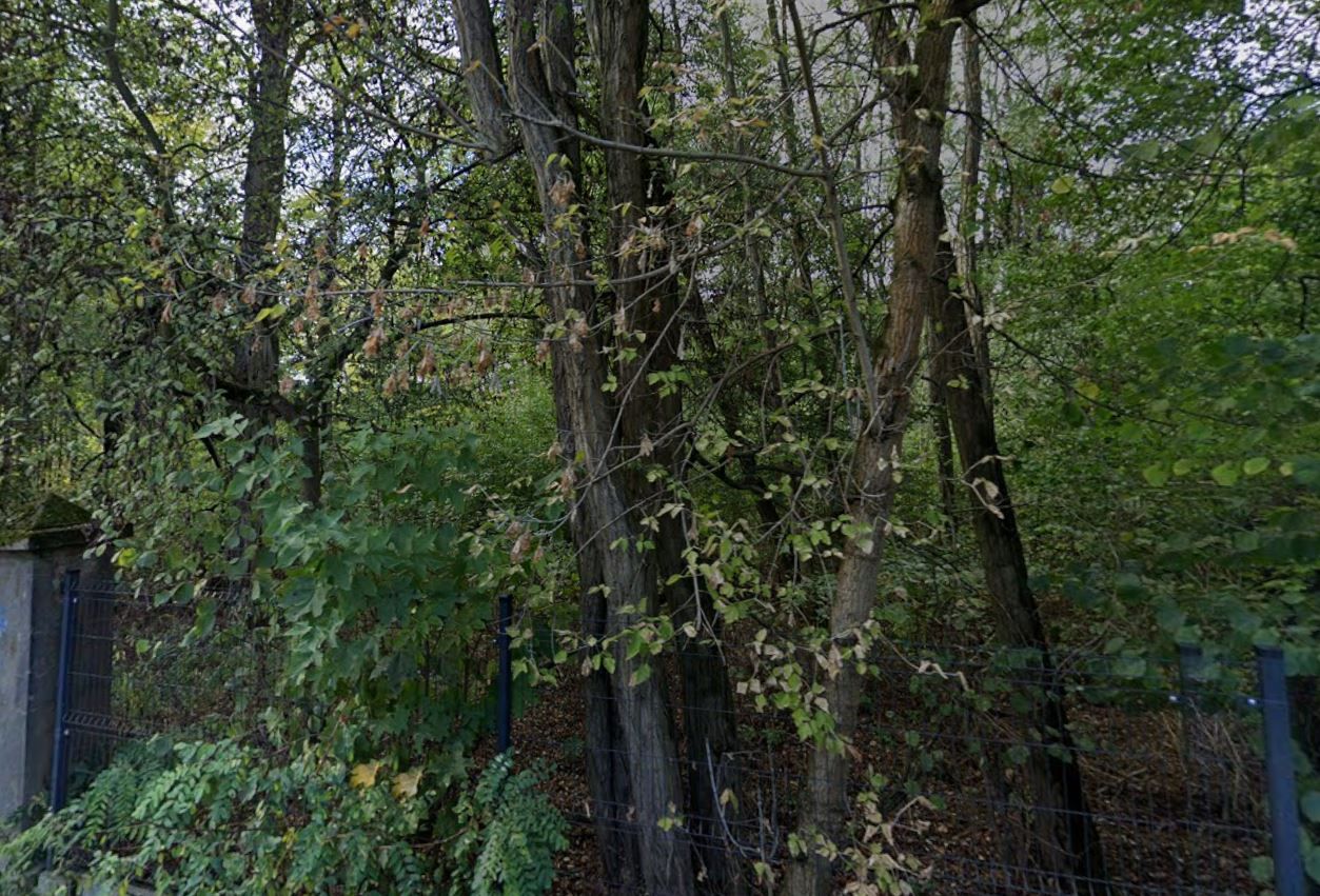 Działka leśna Milanówek, ul. Łąkowa. Zdjęcie 2