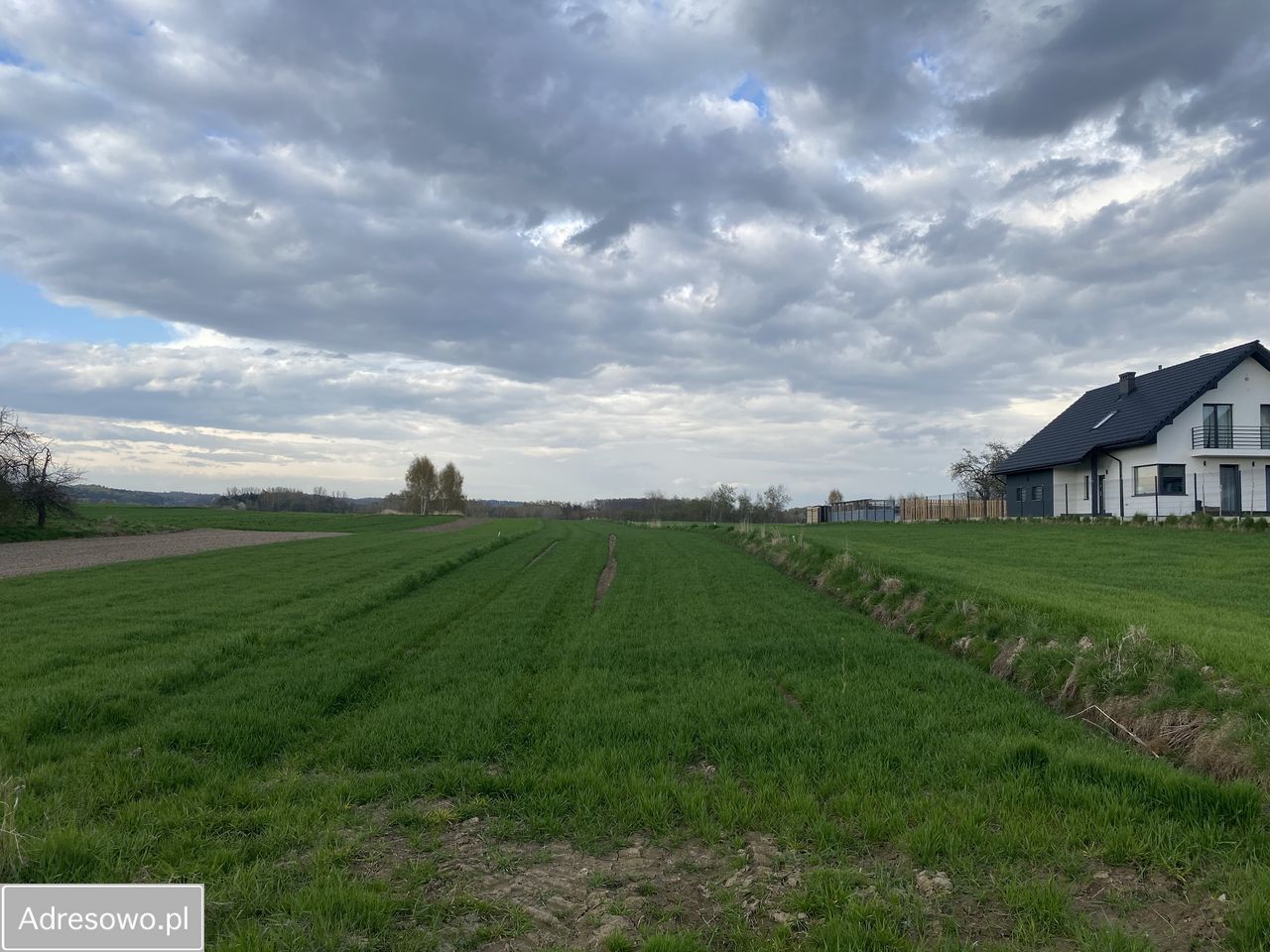 Działka rolno-budowlana Cholerzyn. Zdjęcie 2