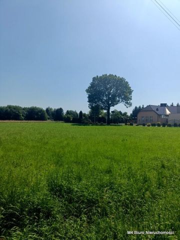 Działka rolna Dobieszyn. Zdjęcie 13