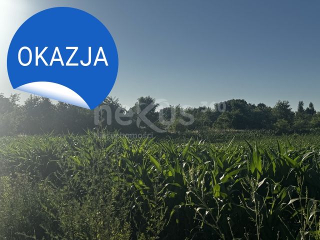 Działka budowlana Wrocław Lipa Piotrowska, ul. Kminkowa. Zdjęcie 11