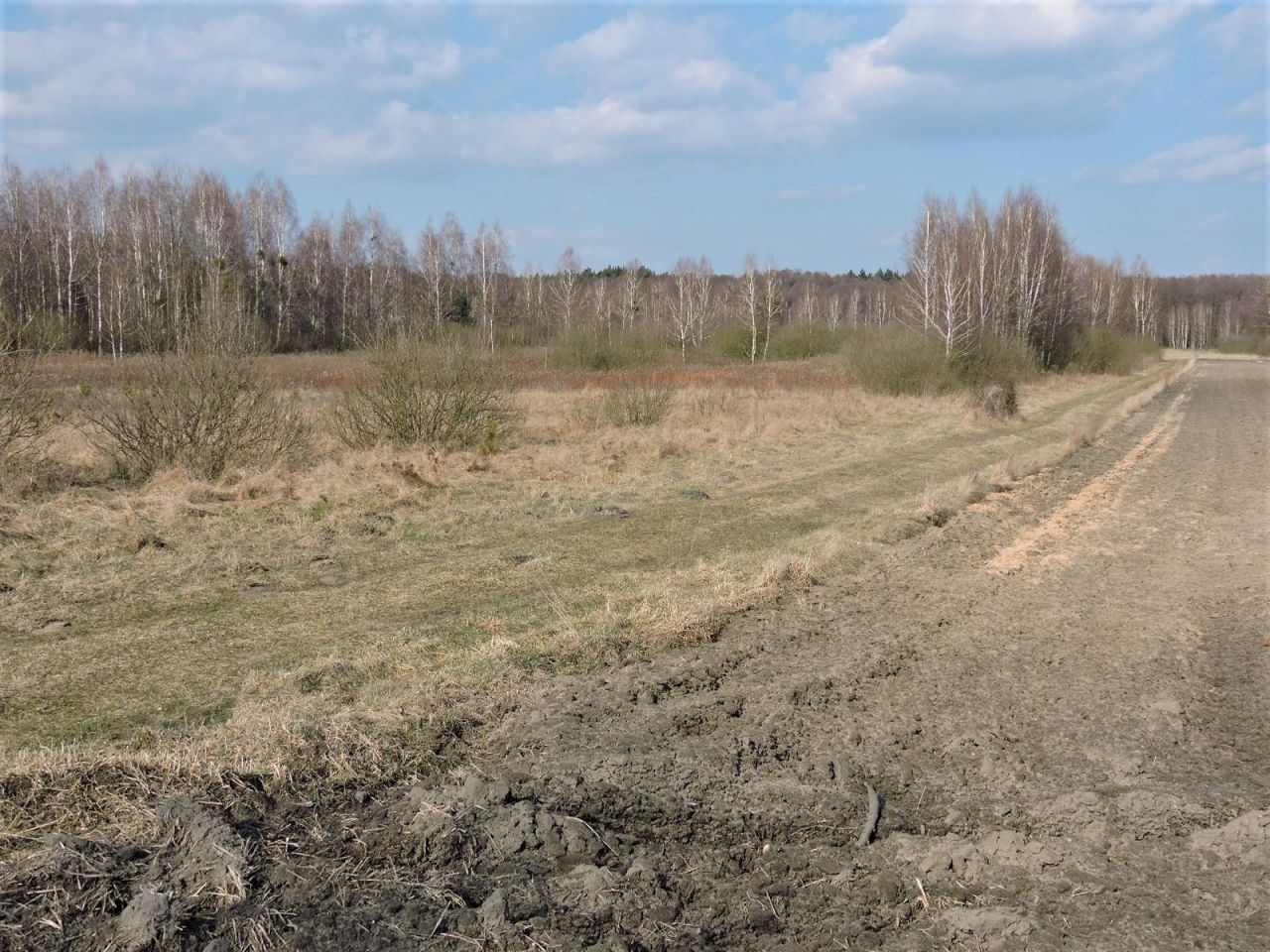 Działka rolno-budowlana Wiejca. Zdjęcie 7