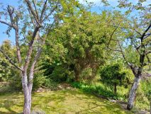 Działka rod Gdańsk Olszynka, ul. Modra. Zdjęcie 4