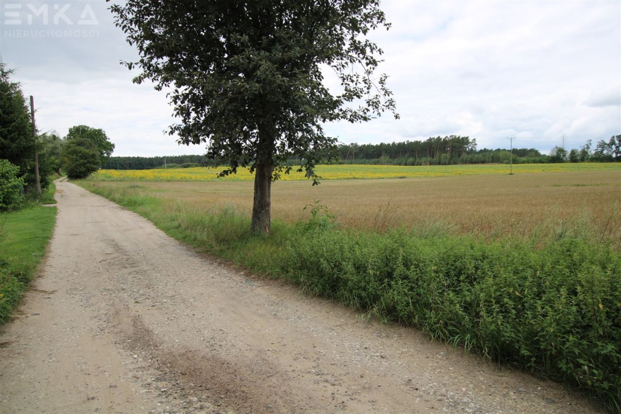 Działka rekreacyjna Branica. Zdjęcie 7