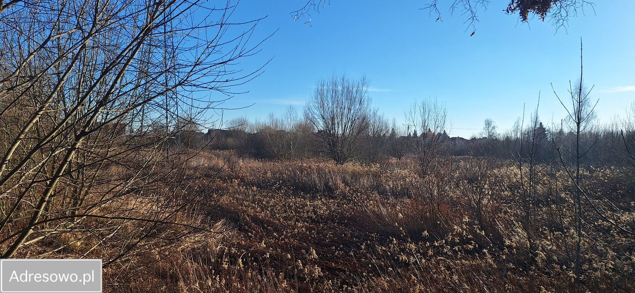 Działka budowlana Żerniki Wrocławskie, ul. Jastrzębia. Zdjęcie 5