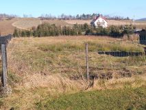 Działka rolno-budowlana Borówno. Zdjęcie 2