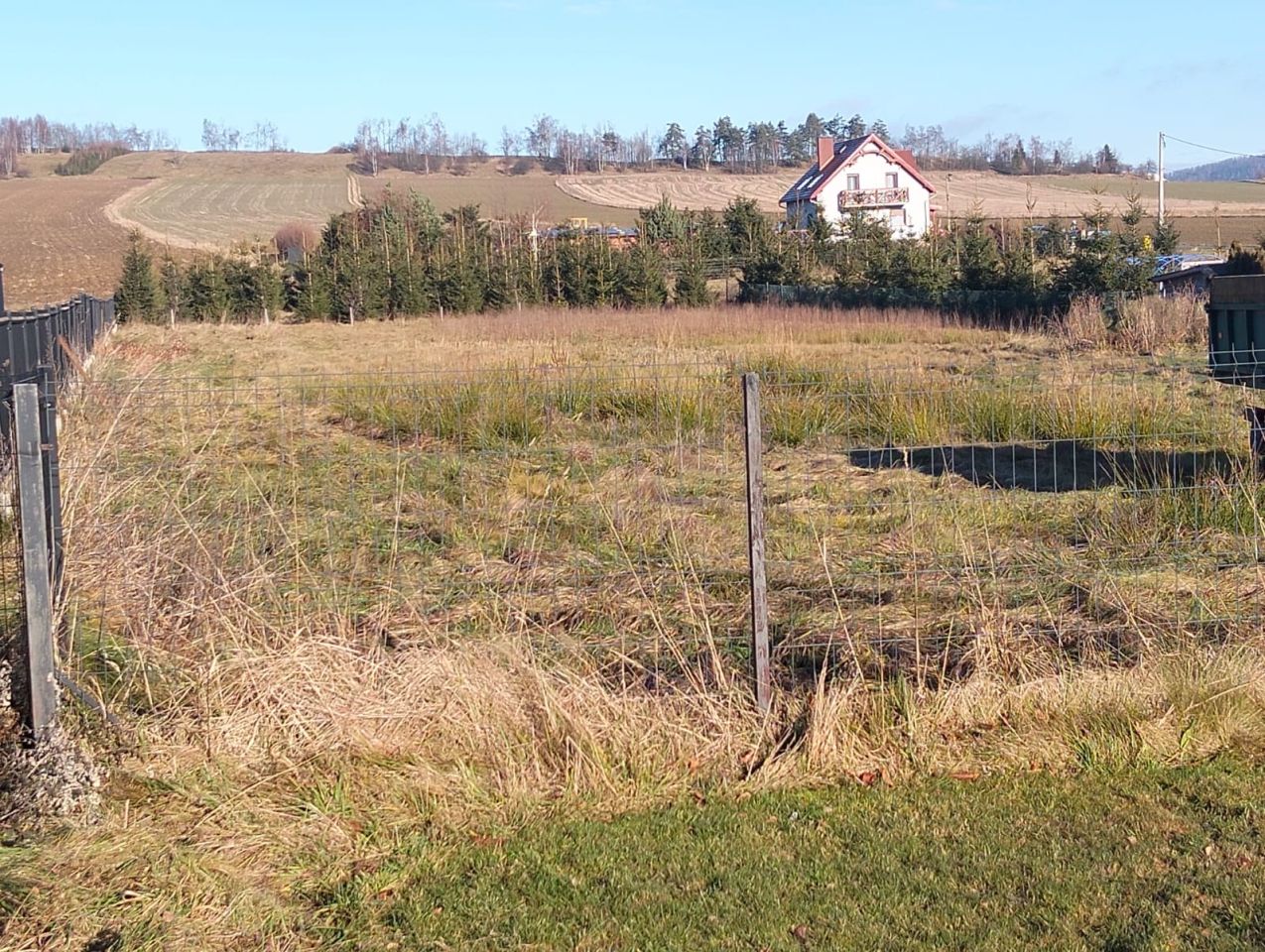 Działka rolno-budowlana Borówno. Zdjęcie 3
