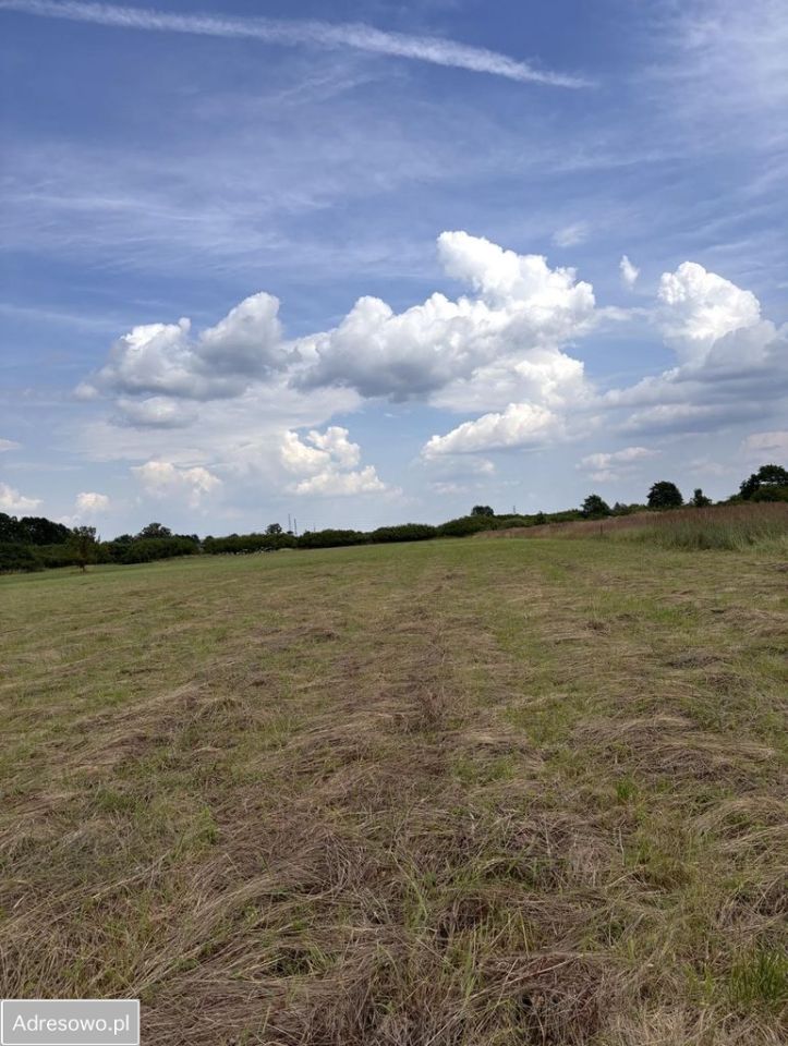 Działka rolna Bobrek, ul. Słoneczna. Zdjęcie 1