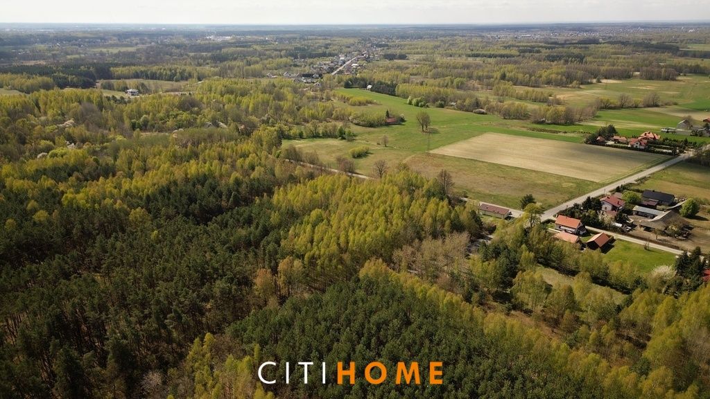 Działka leśna Poschła. Zdjęcie 5