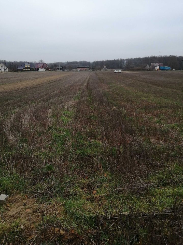 Działka budowlana Czartkowo. Zdjęcie 2