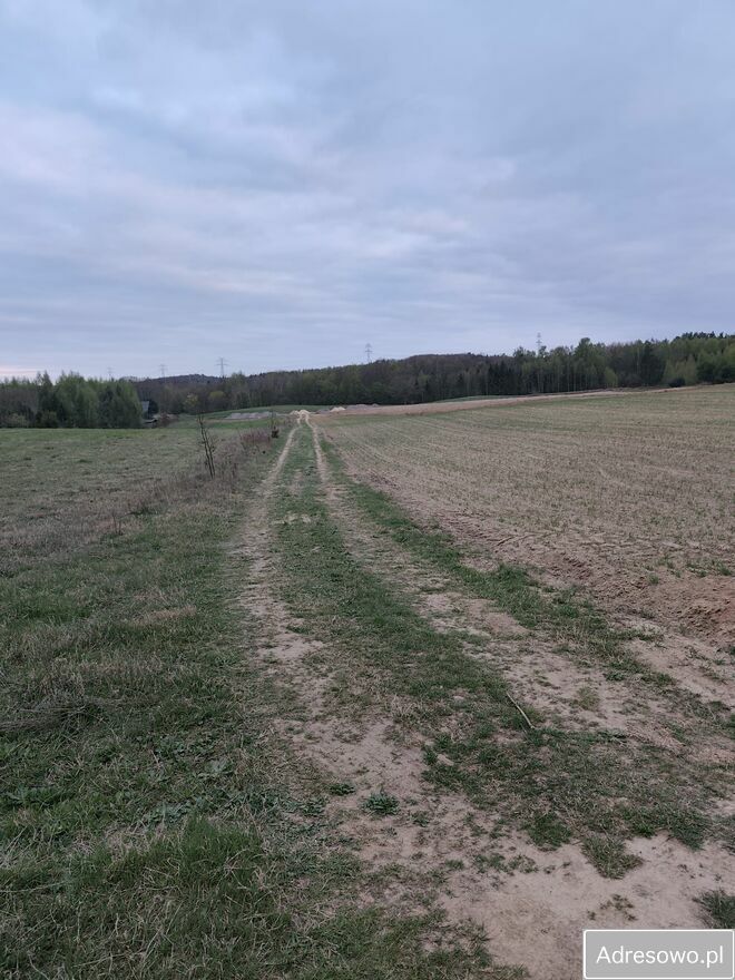 Działka rolna Graniczna Wieś, ul. Jarzębinowa. Zdjęcie 2