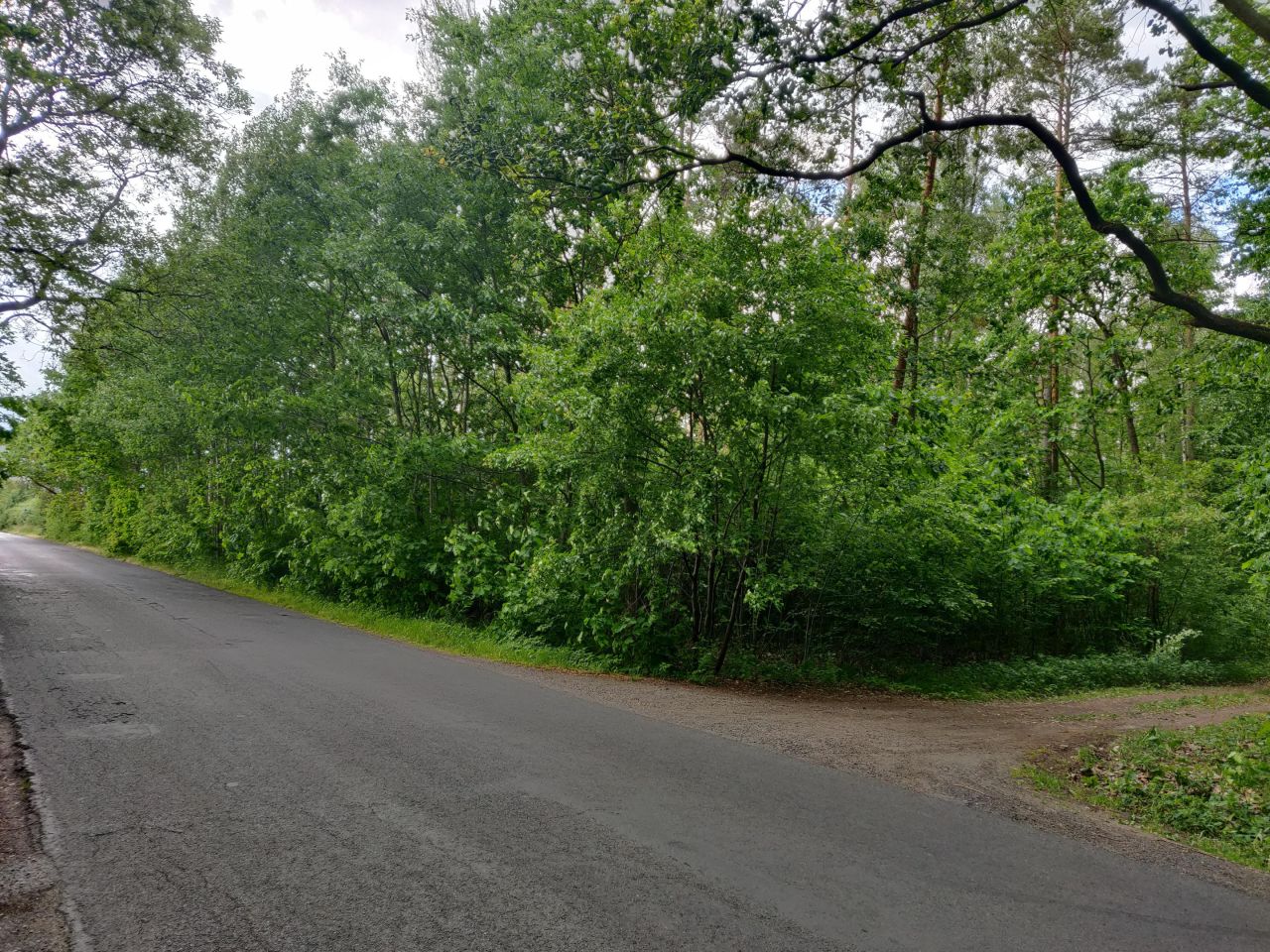 Działka rolno-budowlana Chachalnia, ul. Ostrowska. Zdjęcie 3