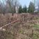 Działka budowlana Żelechów. Zdjęcie 2