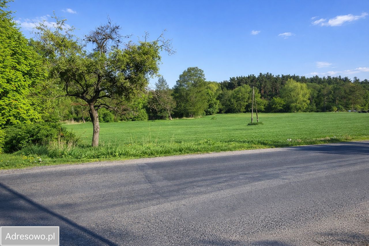 dom wolnostojący, 10 pokoi Nekla, ul. Tęczowa. Zdjęcie 4