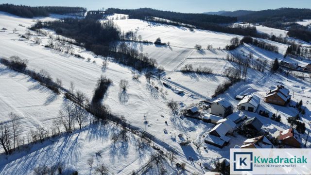 Działka rekreacyjna Górzanka. Zdjęcie 4