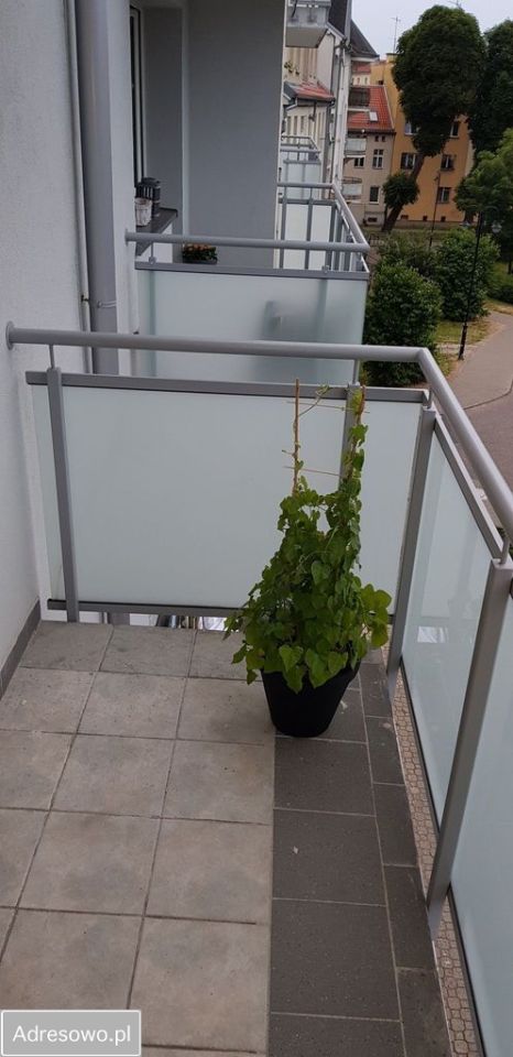 Mieszkanie 3-pokojowe Elbląg, ul. Michała Bałuckiego. Zdjęcie 12