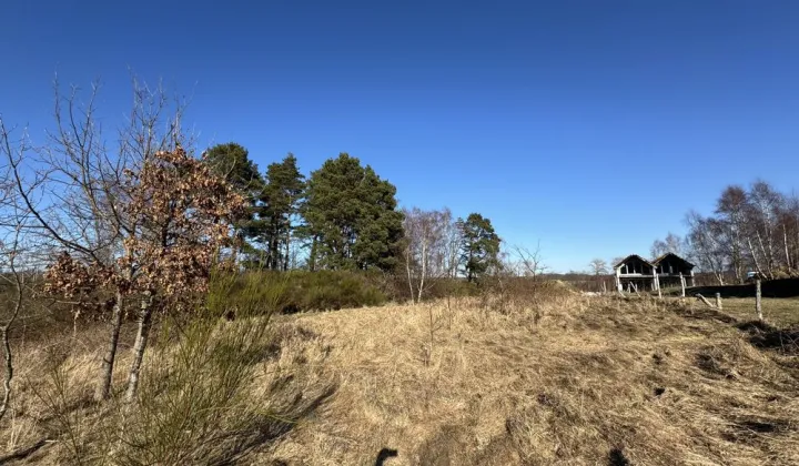 Działka budowlana Dębina, ul. Zacisze Słowika