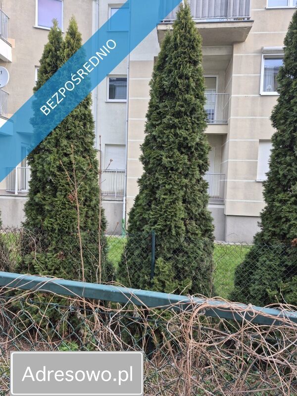 Mieszkanie 2-pokojowe Poznań Piątkowo, ul. Franciszka Stróżyńskiego. Zdjęcie 4