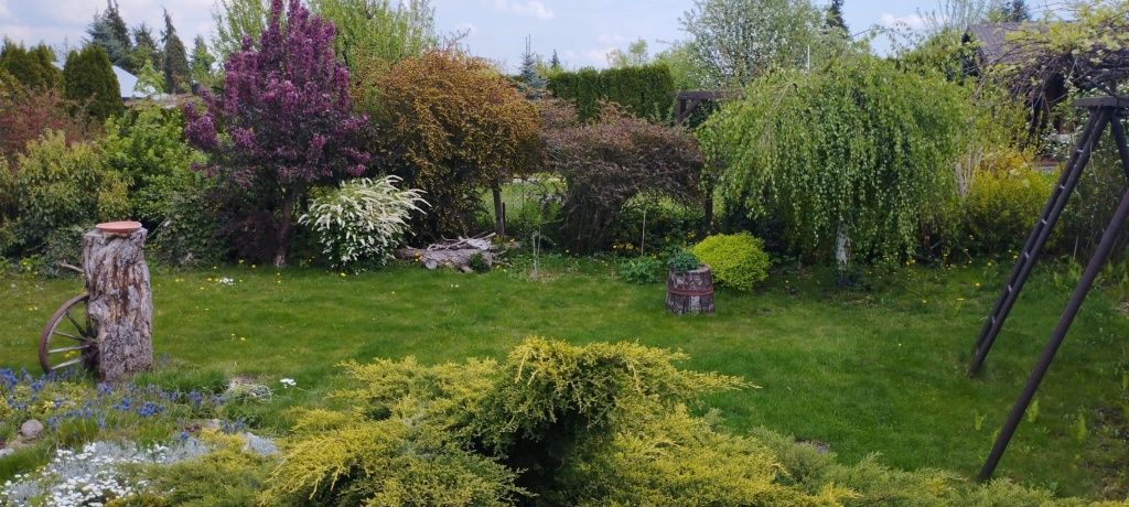 Działka rod Mielec. Zdjęcie 2