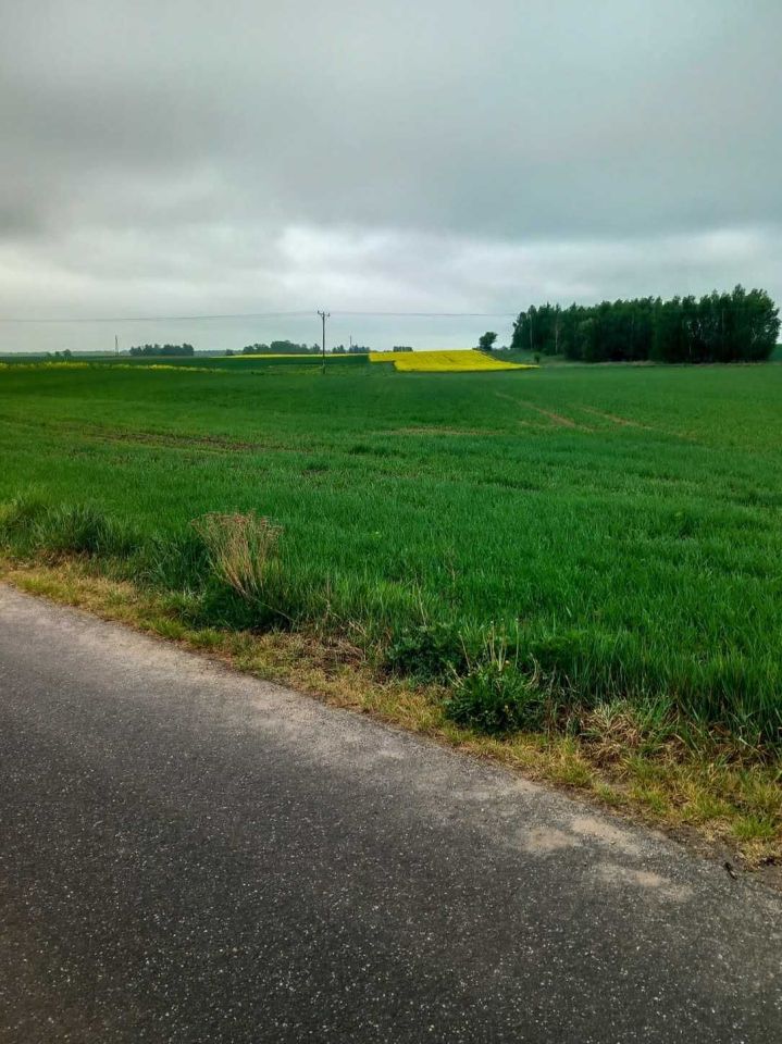 Działka rolna Radziechów. Zdjęcie 6