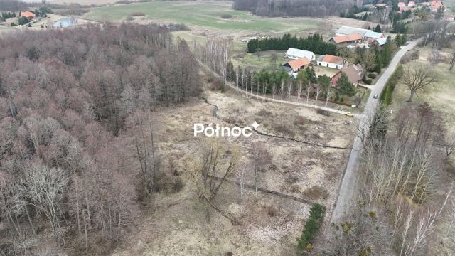 Działka rolna Rogojny. Zdjęcie 10