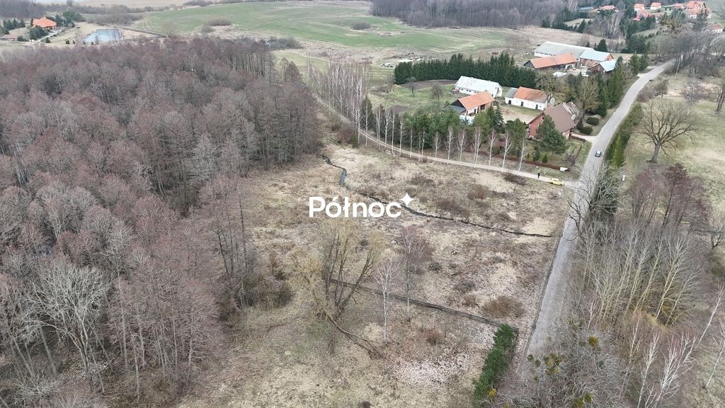 Działka rolna Rogojny. Zdjęcie 10