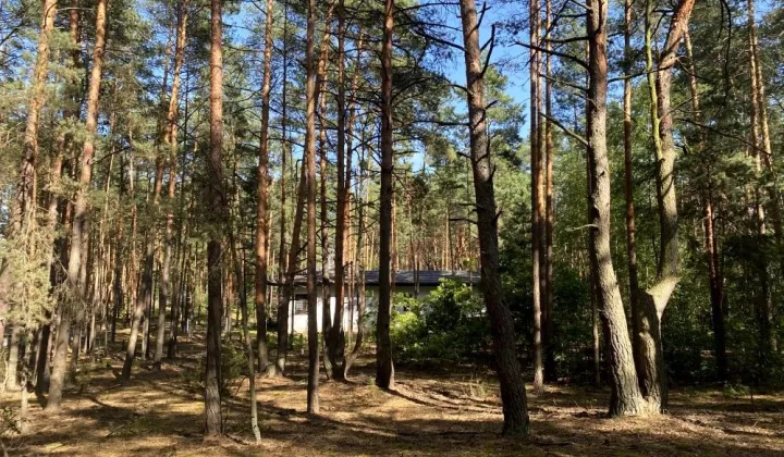 Działka budowlana Radzymin Rejentówka, ul. Piaskowa