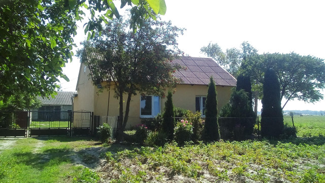 gospodarstwo, 2 pokoje Raszewo Włościańskie, Raszewo Włościańskie