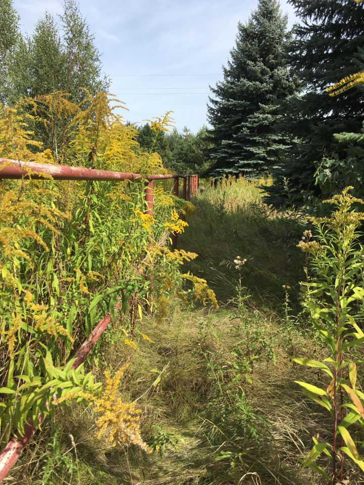 Działka budowlana Gołków Gołków-Cegielnia, ul. Gołkowska. Zdjęcie 9