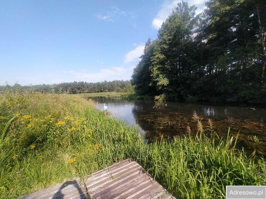 Działka rekreacyjna Majdan Sopocki Pierwszy. Zdjęcie 4