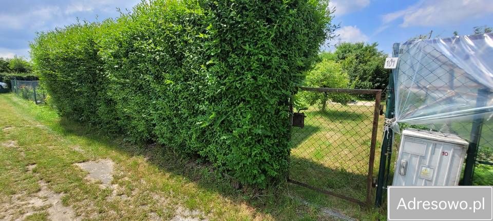 Działka rod Prudnik. Zdjęcie 2