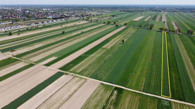 Działka inwestycyjna Rybno. Zdjęcie 4