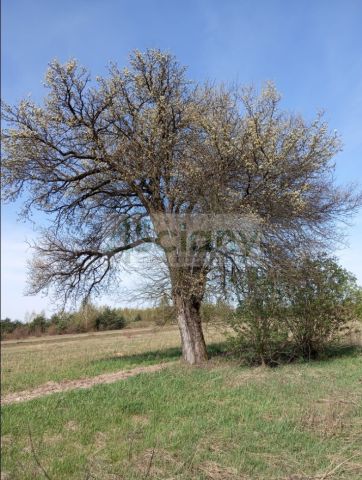 Działka budowlana Jasienica. Zdjęcie 18