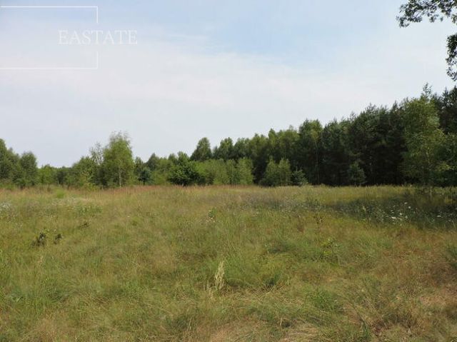 Działka rolna Głogów. Zdjęcie 1