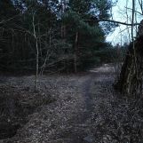 Działka Warszawa Aleksandrów, ul. Podkowy. Zdjęcie 1